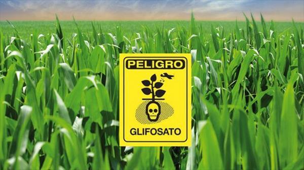Procesaron a tres productores agrarios por contaminación con agroquímicos Procesaron a tres productores agrarios por contaminación con agroquímicos